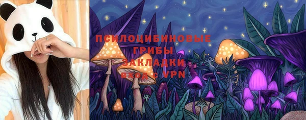 кокс Алексин