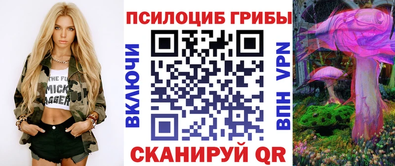 Псилоцибиновые грибы GOLDEN TEACHER  Всеволожск 