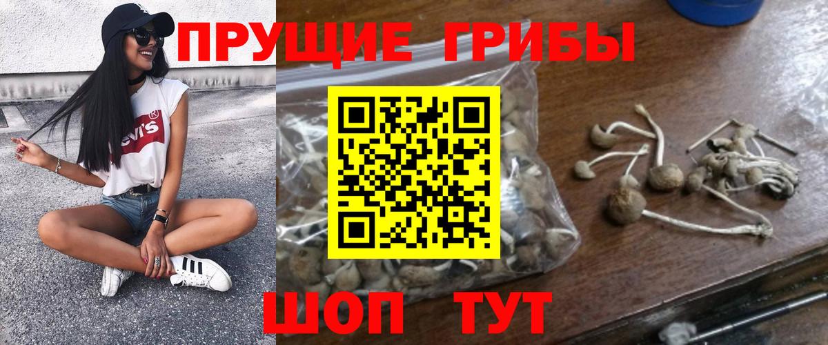 Галлюциногенные грибы Magic Shrooms Всеволожск