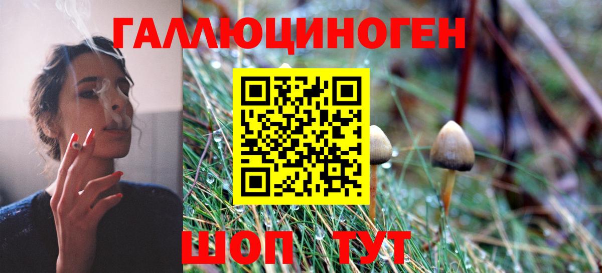 Всеволожск  Галлюциногенные грибы MAGIC MUSHROOMS  Вход с VPN 